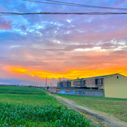 她说我比老蒯带派