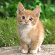 end