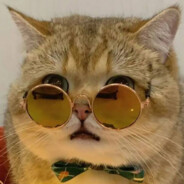 ぃ尐懶猫o(≧v≦)o_Loroう