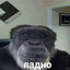 atlyst's avatar