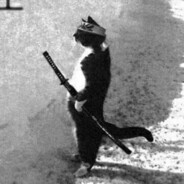 Kaenchik TradeBack.io