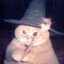 Magic