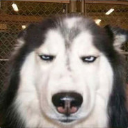 满山的猴子我腚最红