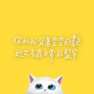 宇宙超级无敌飞天大野猪