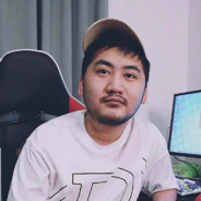 大司马的大皮燕子