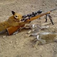 Fox_Slayer