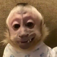 adept monkey Steam avatar