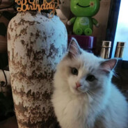 活力绝绝紫酸奶