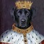 KingOfSabakas