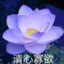愚人愚