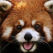 RedPanda.MLG