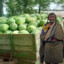 tibetan watermelon salesman