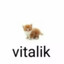 vitalik