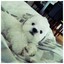 taylen887
