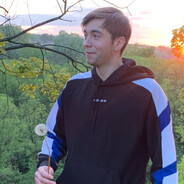 борик айлавью кот