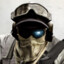 D_Falcomer