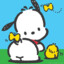 Im Pochacco