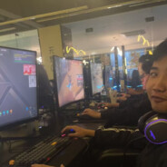 腌蚝鸽鸽爱肘击