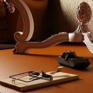 欲买桂花同载酒