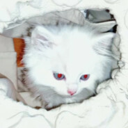 金冬天美瞳别滑片了