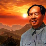 在下会飞的猪233