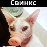 Свинкс