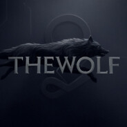 THEWOLF - steam id 76561197967746620