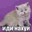 ИДИ  НАХУЙ