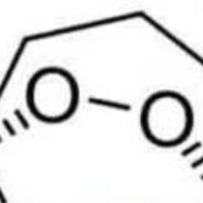 小耗子不会起名