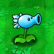 孤高的寒冰射手