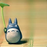 确认过眼神，我打不过的人