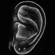 EAR