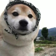 落地率先倒地，激发队友潜力