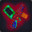 Siva Experiment 42.9320 avatar