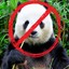 I am NOT Panda