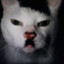 Adolf Kitler