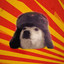 soviet communist dog