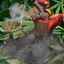 Weedgineer
