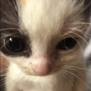 шахта марвина