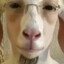 CaBrito