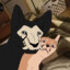 Azcein le Cougar