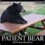 Patient Bear