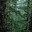『KRIEG』EmeralD