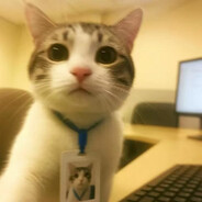 攒钱买穿越机的4K