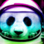 ThatOneSpacePanda