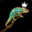 Lizard_King