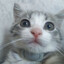 Сладкая чума's avatar