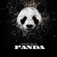 Mr.Panda
