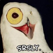 Stonks Only Go Up - steam id 76561197964328700