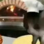 Pizzeria Del Gatito